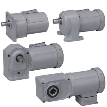 High Torque Three-Phase Brother Gear Motors