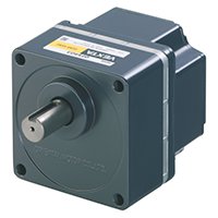 Parallel Shaft Gear Motor